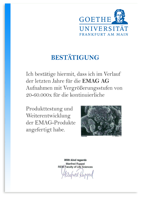 Farnkfurti Egyetem vizsgálati eredményei