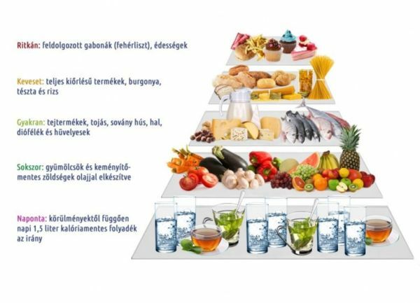 Metabolikus diéta terv véleménye: Mi az a metabolikus diéta?
