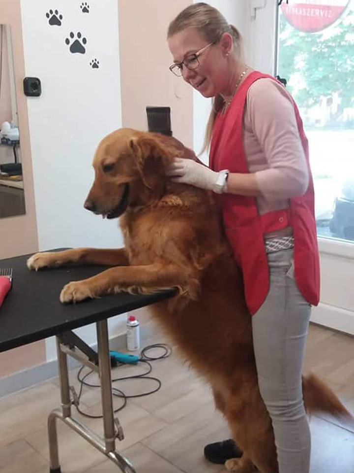 EszPets kutyakozmetika
