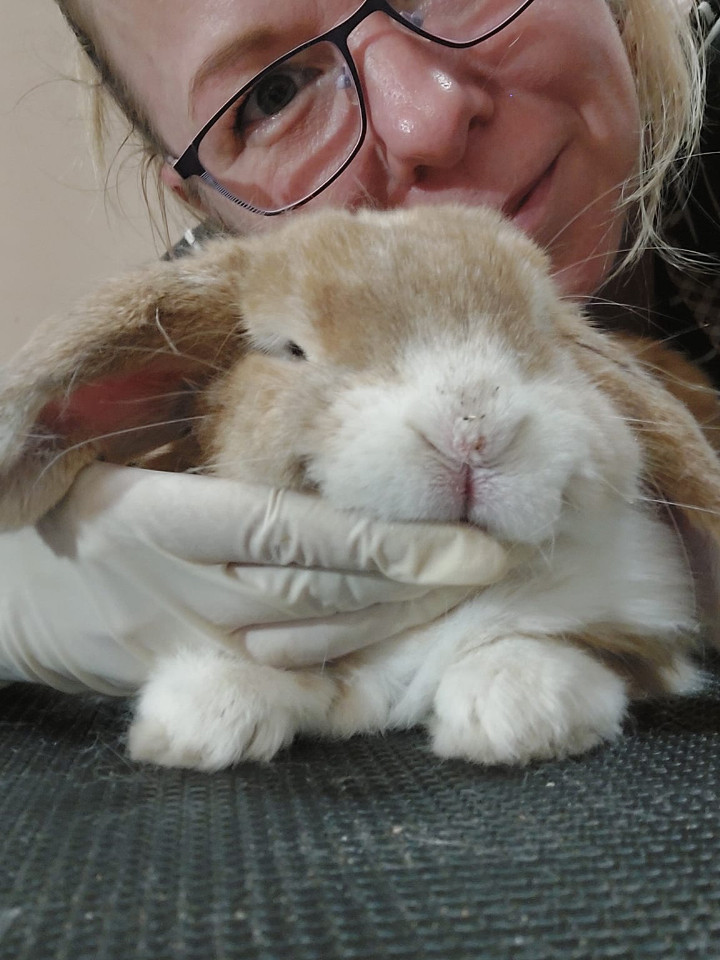 EszPets kutyakozmetika
