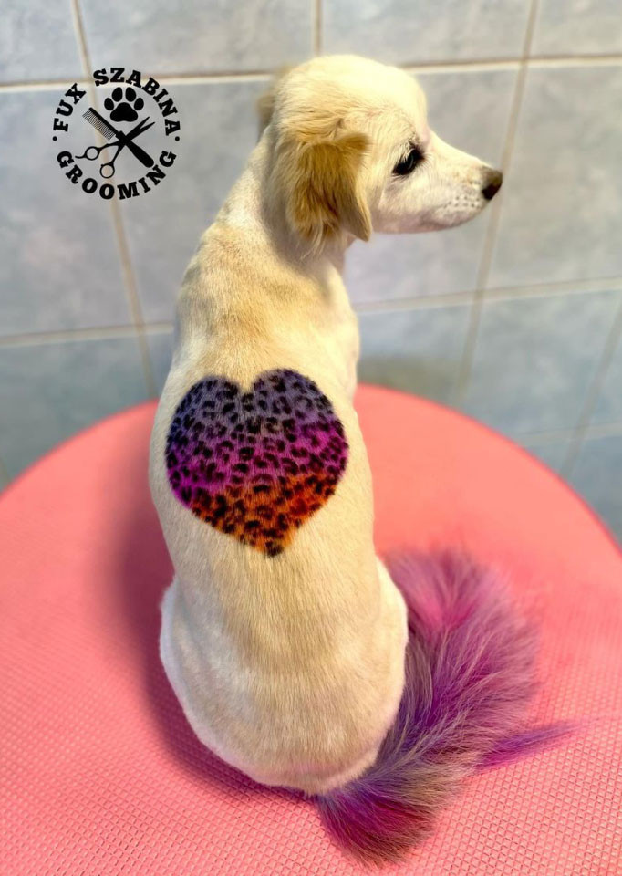 Fux Szabina Grooming - Opawz