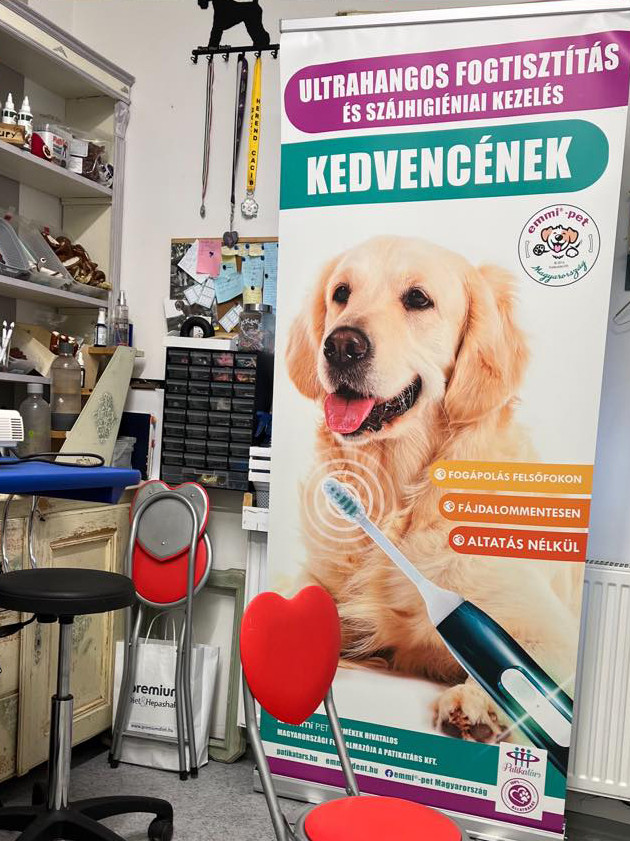 Step by Step Kutyakozmetika Kapuvár