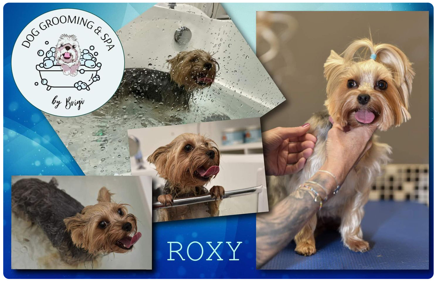 Szentgotthárdi Kutyakozmetika és SPA Hundesalon und SPA