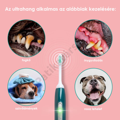 emmi®-pet 2.0 ultrahangos fogkefe szett