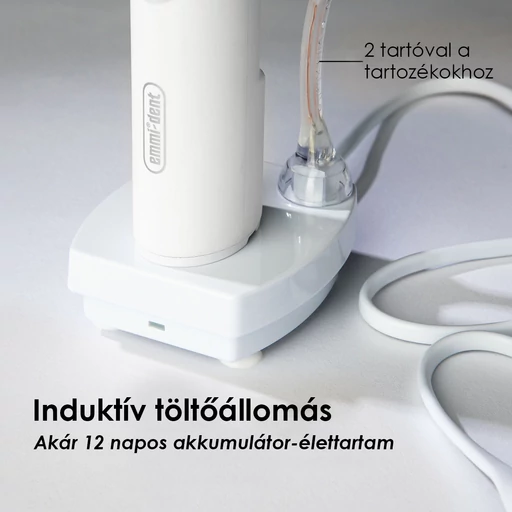 Emmi®-dent METALLIC ultrahangos fogkefe szett - ezüst