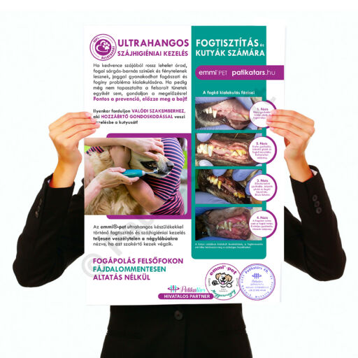 Tájékoztató plakát (A3) - Kutyafogápolási kezelés