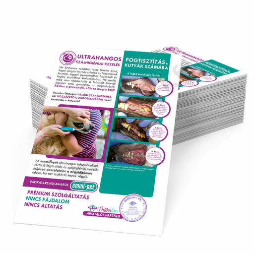 Tájékoztató plakát (A3, kétoldalas) - Kutyafogápolási kezelés