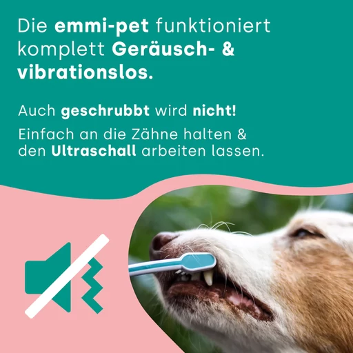 Emmi® PET PRO ultrahangos fogkefe szett