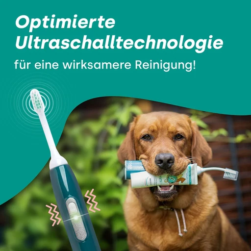 Emmi® PET PRO ultrahangos fogkefe szett