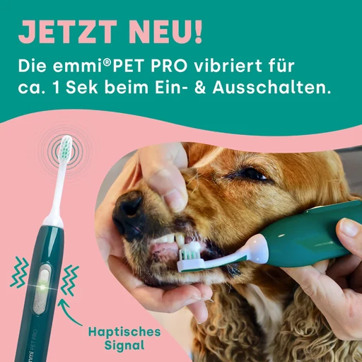 Emmi® PET PRO ultrahangos fogkefe szett