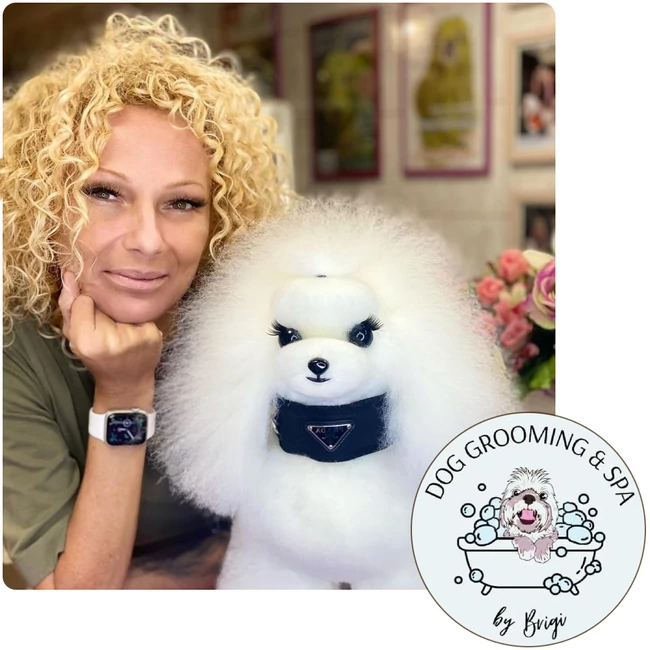 Szentgotthárdi Kutyakozmetika és SPA Hundesalon und SPA