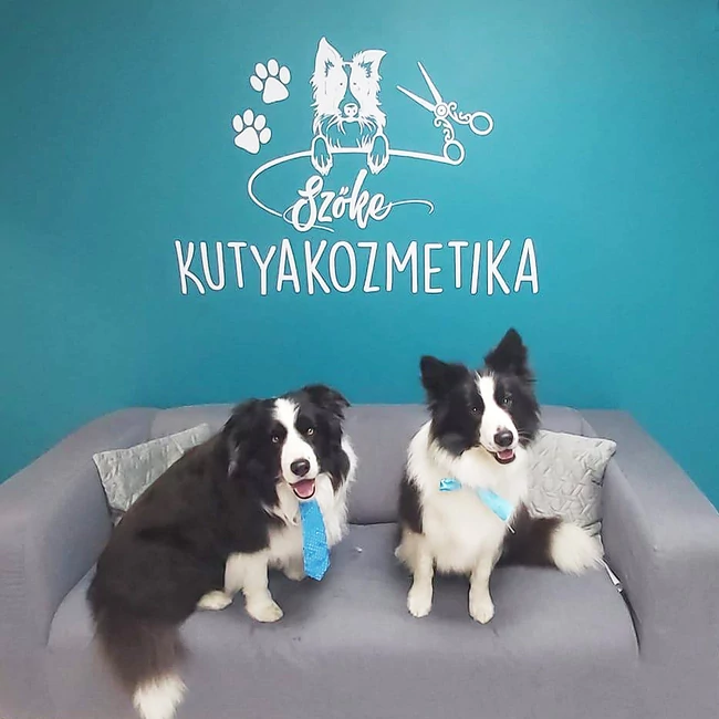 Szőke Kutyakozmetika - Százhalombatta